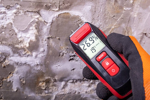 Best Mold Testing and Inspection Services in Buffalo, SC