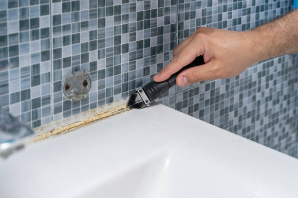 Best Insurance-Related Mold Remediation in Buffalo, SC
